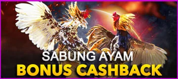 BONUS CASHBACK SV388